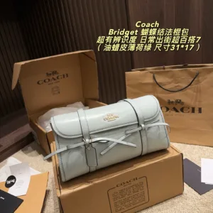 Coach Bridget Flap Shoulder Bow Stick Bag