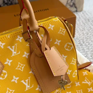 LV 2026 Speedy P9 Monogram tote handbags