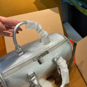 LV Speedy Pillow New Ski Series tote hand bags