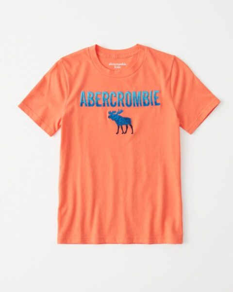 abercromble Women's Short Sleeve Tshirts - A&Fitch T-shirts ss 2023 Collection, abercrombie, abercrombie fitch girls Tshirts, abercrombie fitch Hollister T-shirts, abercrombie fitch t shirt, abercrombie fitch t-shirts, abercrombie fitch Women's T-Shirts, abercromble, fitch, girl, Hollister, Hollister T-Shirts ss 2023 Collection, hollister t-shirts women's, hollister t-shirts women's Collection, Hollister Women's T-shirts, shirts, short, sleeve, tshirts, women, women's