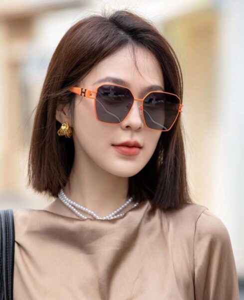 Hermès TR Polarized Series classic box design H5108 sunglasses - box, classic, polarized, series, sunglasses