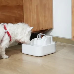 DailyFresh RealFountain Bowl Pro Replacement-USB Type-C