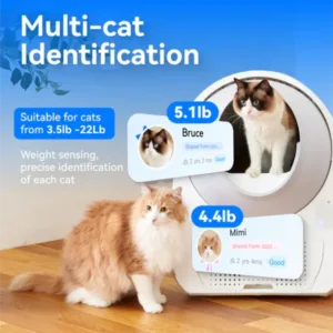 CATLINK Self Cleaning Litter Box – Scooper Standard Pro-X Ramp Set