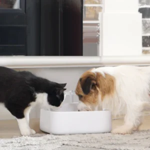 DailyFresh RealFountain Bowl Pro Replacement-USB Type-C