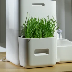 Cat Grass Planter