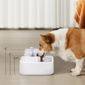 DailyFresh RealFountain Bowl Pro Replacement-USB Type-C