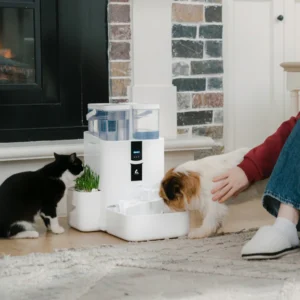 RealFountain DailyFresh Pet Fountain