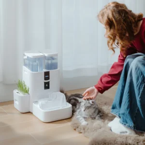 RealFountain DailyFresh Pet Fountain