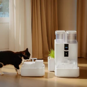 RealFountain DailyFresh Pet Fountain