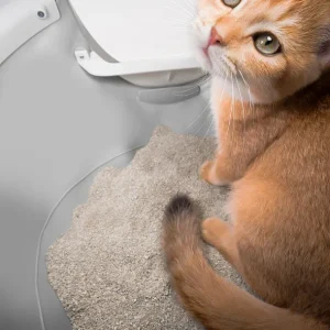 CATLINK AI 5GHz Camera Cat Litter Box – Scooper Pro Ultra Ramp Set