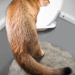 CATLINK AI 5GHz Camera Cat Litter Box – Scooper Pro Ultra Ramp Set