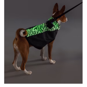 Phantom Dog's new night coat pulls chest and back while walking dogs at night to prevent getting lost