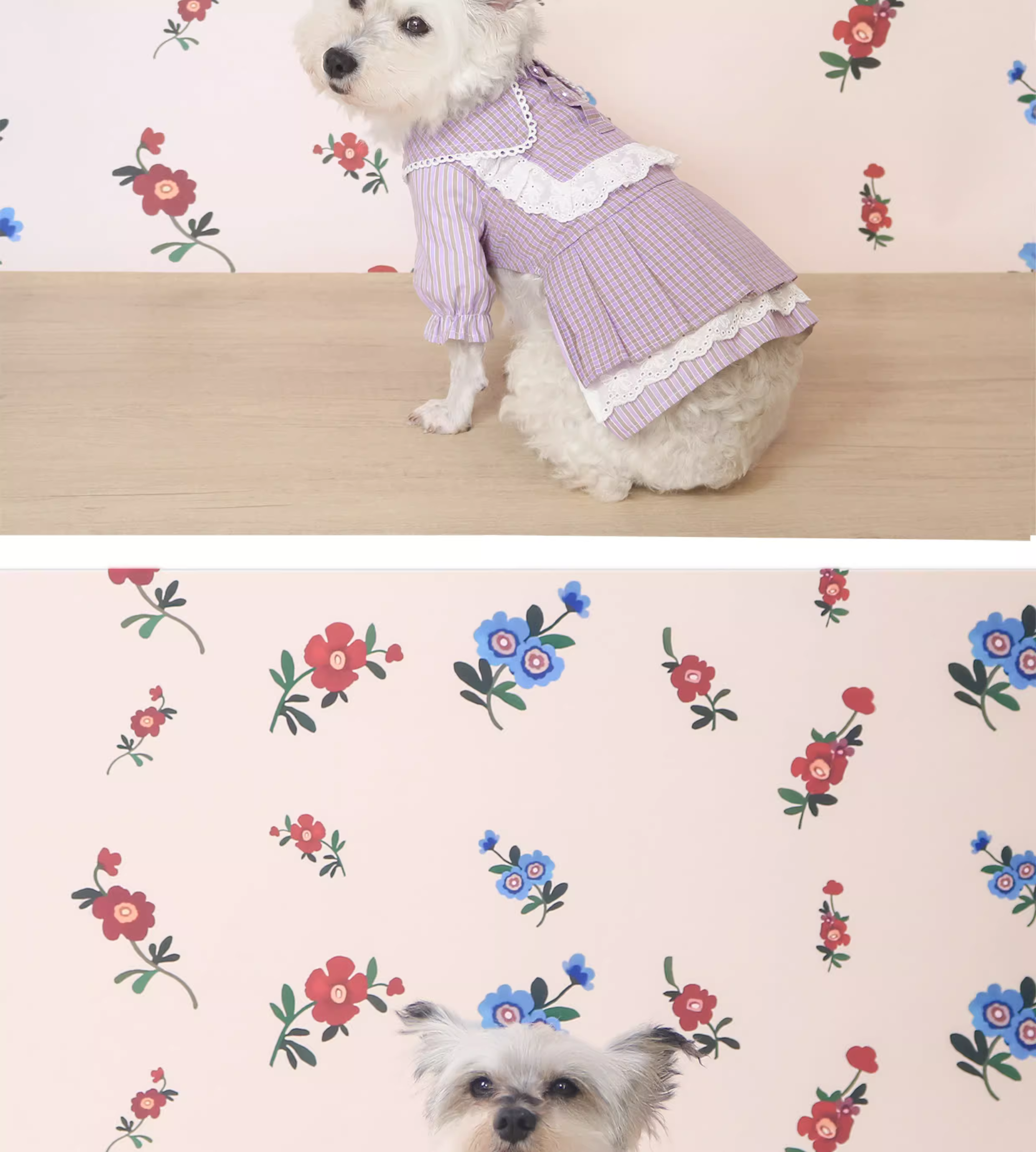 Dog cat pet spring summer clothes lace plaid short suspender dress small teddy bear - bear, cat, clothes, dog, dress, lace, pet, plaid, short, small, spring, summer, supplies, suspender, teddy