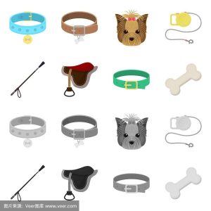 Pet Accessories