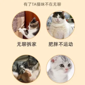 Teasing cats and relieving boredom toy set durable scratching and biting tool pet kitten special supplies