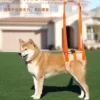 Pet hind leg assist belt high-age elderly disabled injured rehabilitation assist upstairs assist cross-border - assist, hind, pet