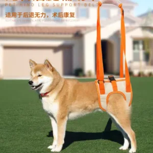 Pet hind leg assist belt high-age elderly disabled injured rehabilitation assist upstairs assist cross-border - assist, hind, pet
