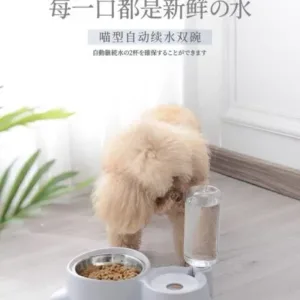Pet dog food utensils cat universal automatic feeder meow-shaped water bowl dual bowls wet dry food - dog, food, pet, utensils