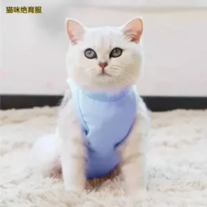 New Cat Post-Sterilization Suit Weaning Clothes Recovery Pet Clothing - clothes, pet, sterilization