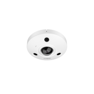 Dahua DH-IPC-EBW81230 EoL-L 12MP Panoramic Network IR Fisheye Camera