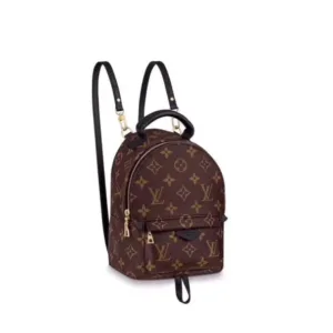 LOUIS VUITTON M40325 Backpack bags