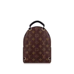 LOUIS VUITTON M40325 Backpack bags