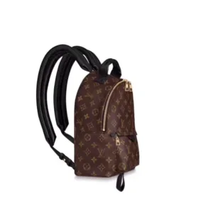 LOUIS VUITTON M41560 Backpack bags