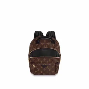 LOUIS VUITTON M41560 Backpack bags