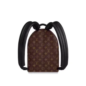 LOUIS VUITTON M41560 Backpack bags