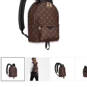 LOUIS VUITTON M41560 Backpack bags