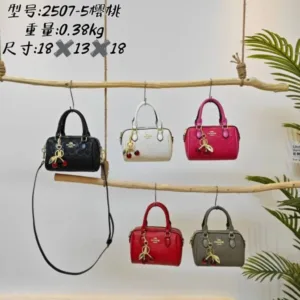 Coach 981764 cherry tote handbags