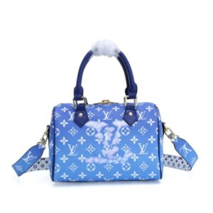 LOUIS VUITTON Speedy Bandoulière 41113 TOTE HANDBAG