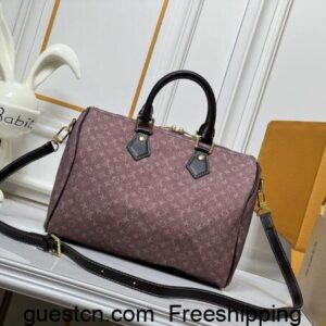 LV Speedy Bandouliere 30 Bags