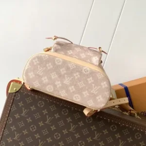 LV FW25 SHOW Montsouris PM NV2 Meowgram coated canvas L&V tote hand bags