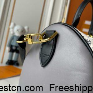 Louis Vuitton M14589 Leather canvas Handbags