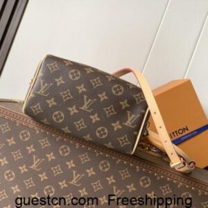 LV Monogram Speedy Bandouliere 20 M46222 Hand bags