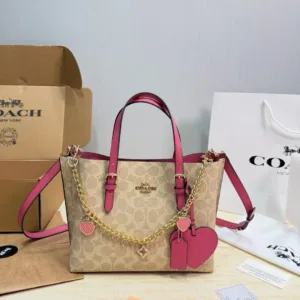 COACH Mollie 25 Tote hand bags