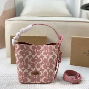 Coach All in BB Tote Handbags