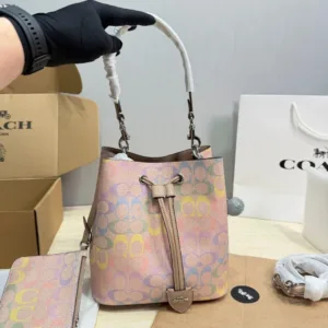 Coach Rainbow Rowan Bucket handbags