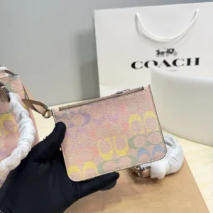 Coach Rainbow Rowan Bucket handbags