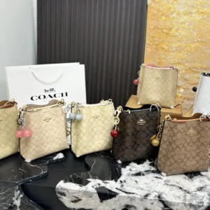 Coach's latest Mollie bucket tote hand bags