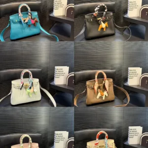 Hermes Platinum 25 Color blocked Inner Togo Tote Hand Bags