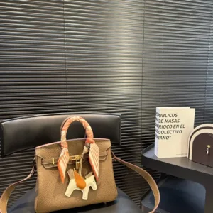 Hermes Platinum 25 Color blocked Inner Togo Tote Hand Bags