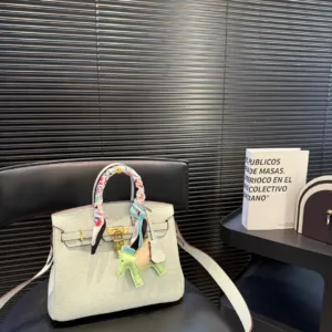 Hermes Platinum 25 Color blocked Inner Togo Tote Hand Bags