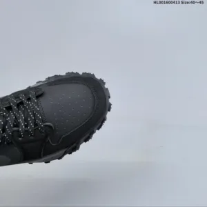 Air Jordan 1 Element Gore-Tex Low shoes