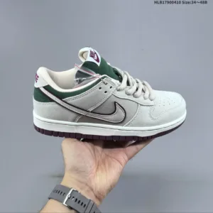 Nike SB Zoom Dunk Low board shoes