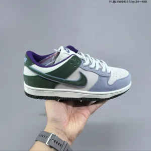 Nike SB Zoom Dunk Low board shoes
