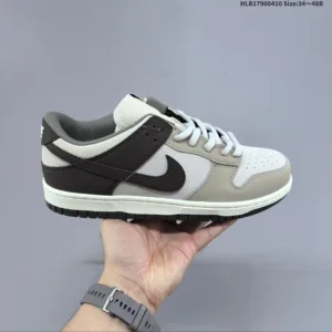 Nike SB Zoom Dunk Low board shoes
