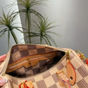 Louis Vuitton checkerboard pillow Tote Hand bags