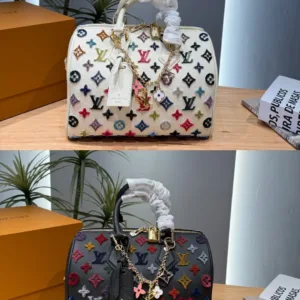 Louis Vuitton Speedy handbag in multiple colors